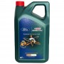 Масло Castrol Magnatec Ford 0W-30 D - 5 Литра