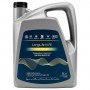 Масло VAG LongLife III FE 0W-30 - 5 Литра