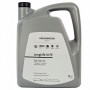 Масло VAG LongLife III FE 0W-30 - 5 Литра